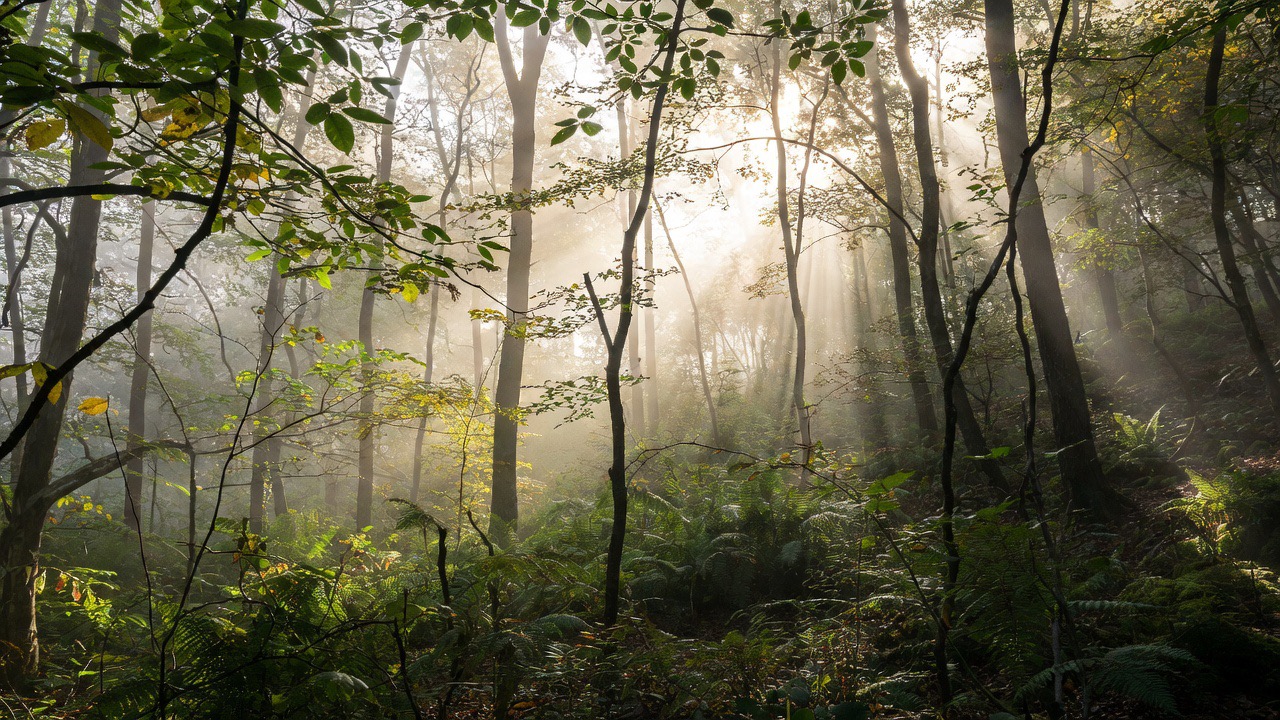 悩みやすい人の思考パターンを改善し、メンタルを軽くする解決ガイド