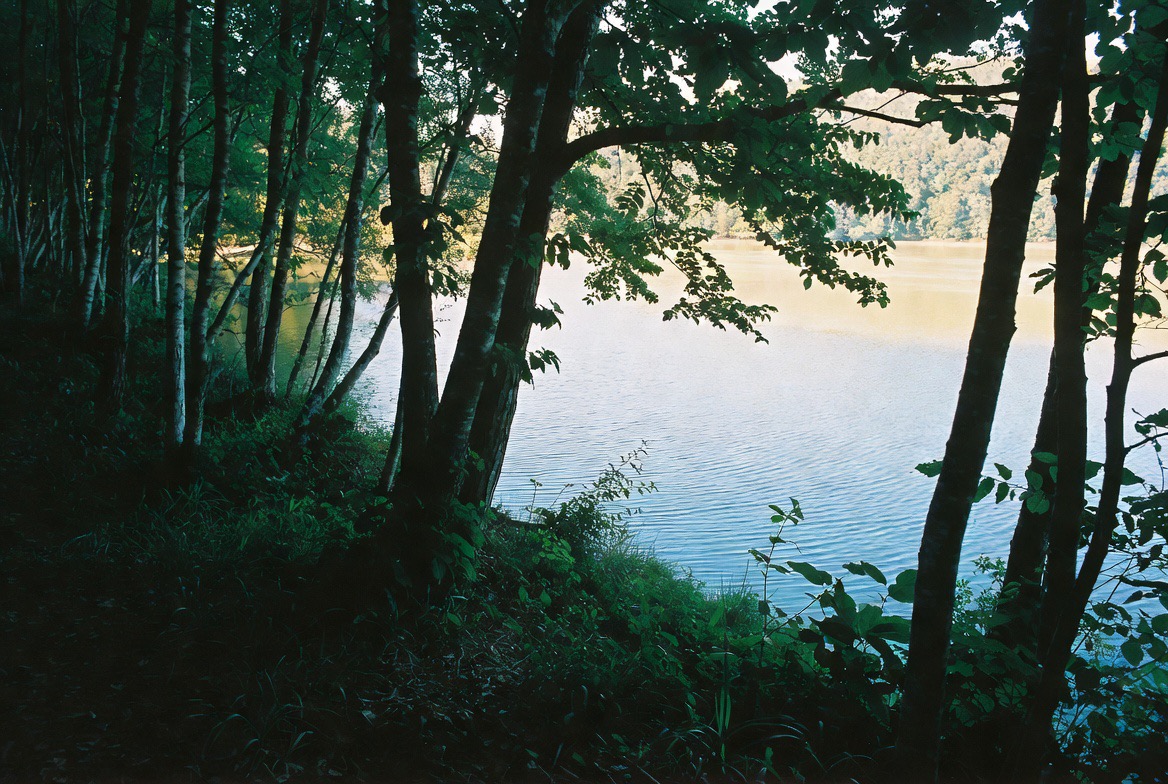 自律神経の乱れを整える方法｜ストレスと向き合い心と体を回復させる習慣